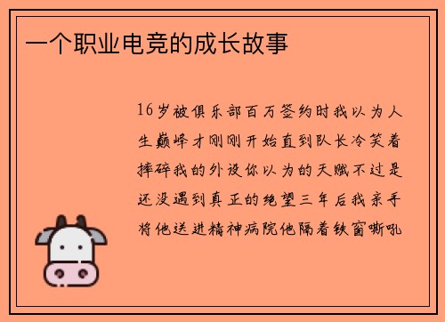 一个职业电竞的成长故事